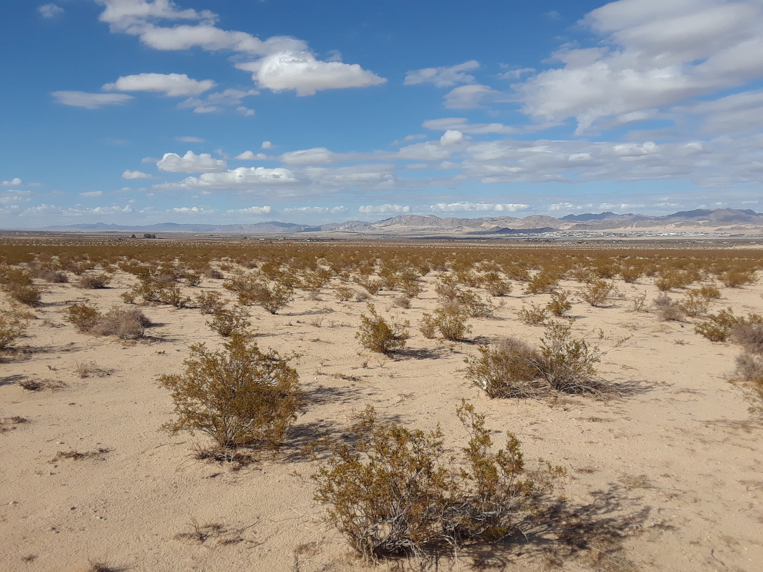 1.29 Acres Lot For Sale (29 Palms)